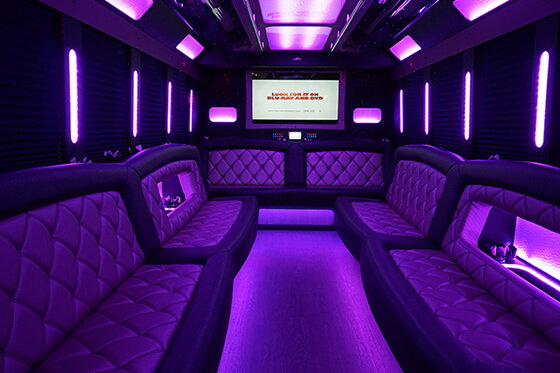 30 passenger party bus interior