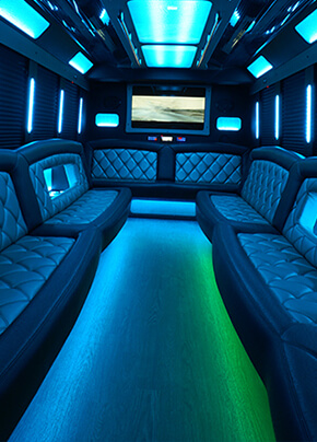 colorful party bus lights