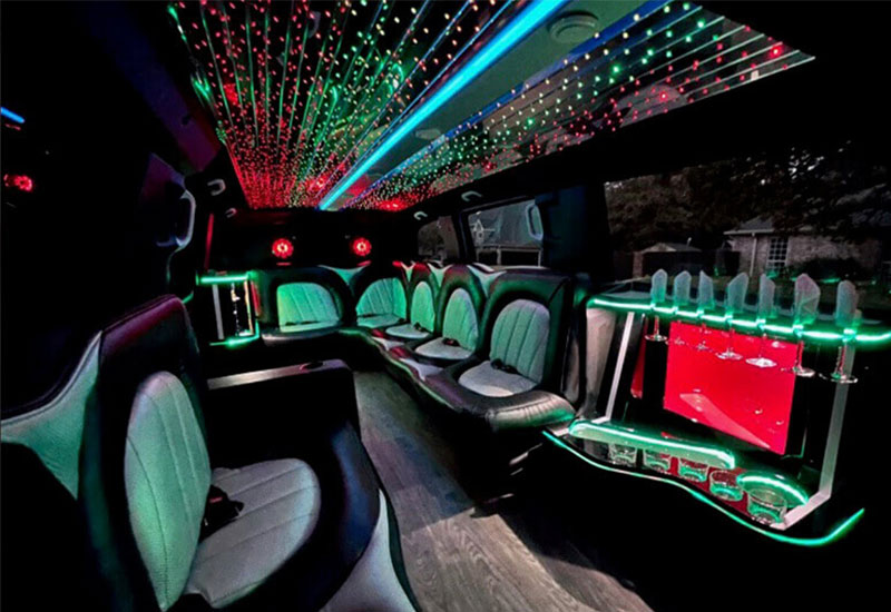 stunning limo seats