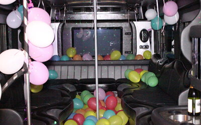 40 passenger party bus